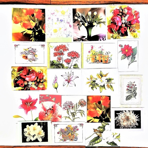 Paper Craft Other - Greeting Card Assort Floral Blank Inside  (G1)